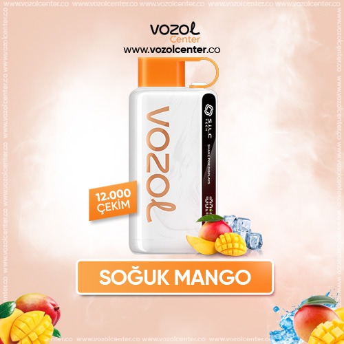 Vozol 12000 Mexican Mango Ice