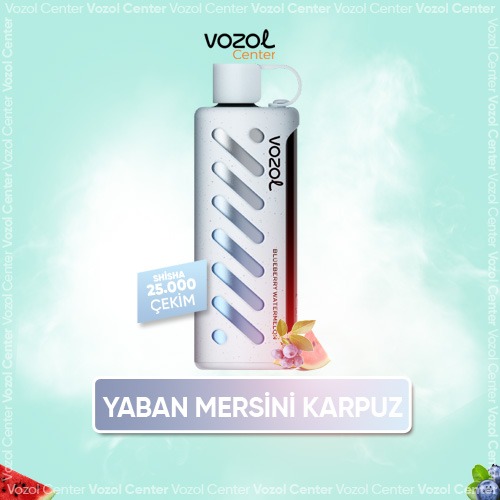 Vozol Gear Shisha 25000 Blueberry Watermelon