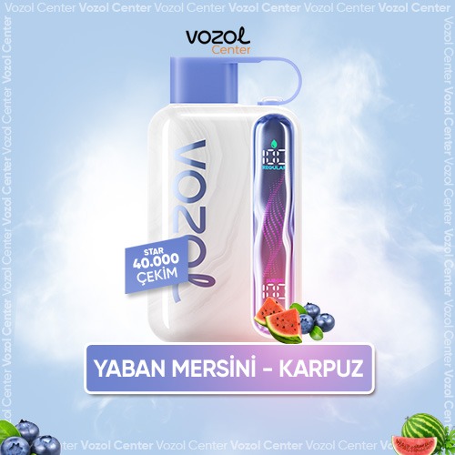 Vozol Star 40000 Blueberry Watermelon