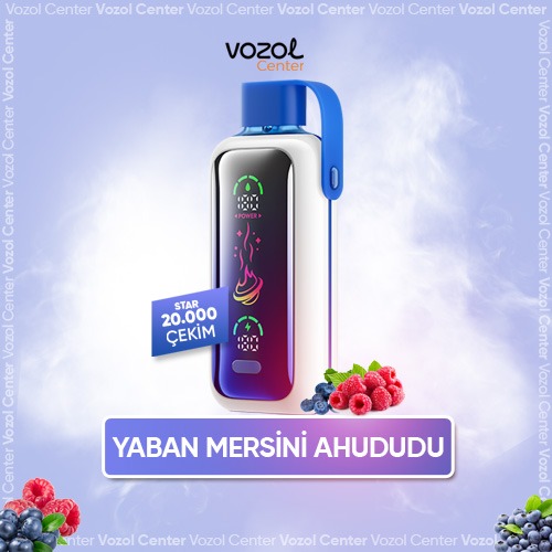 Vozol Star 20000 Blueberry Storm